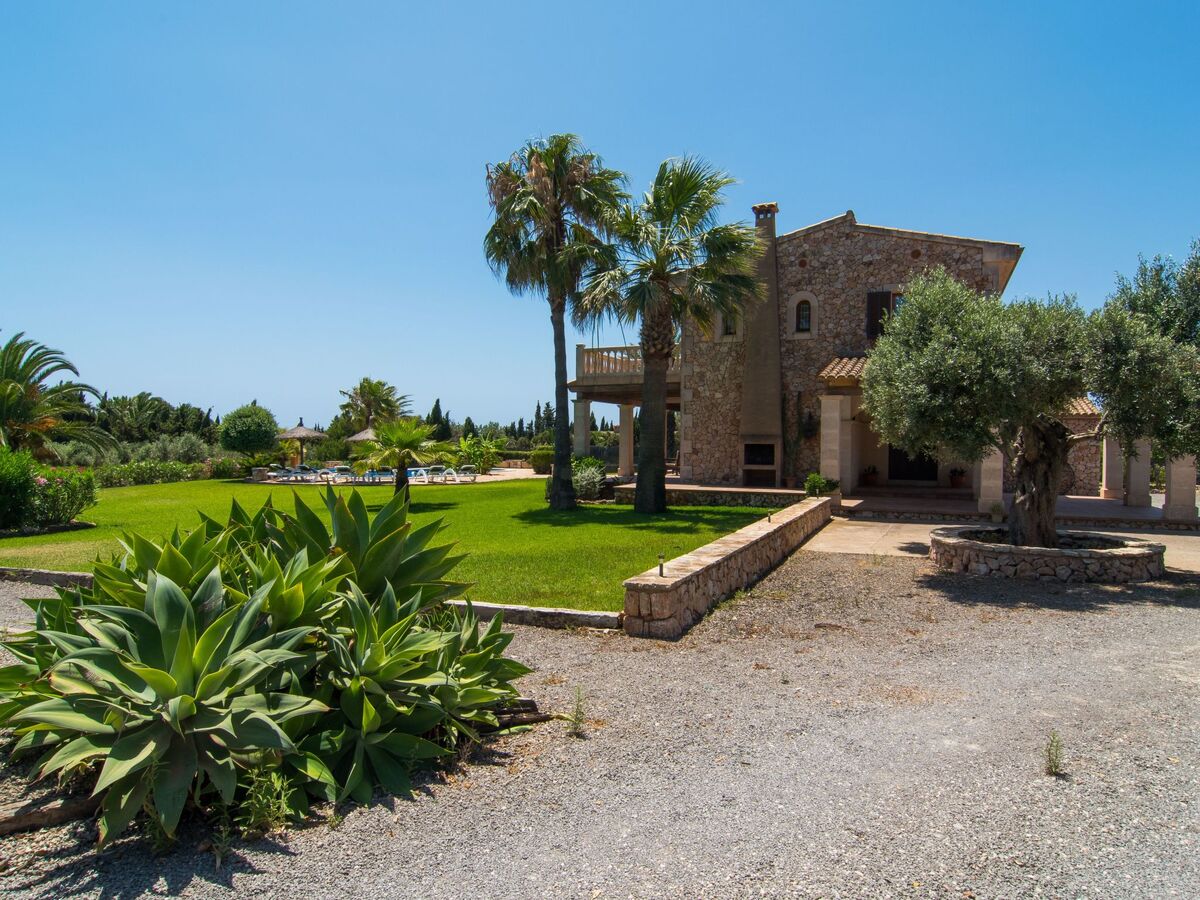 Finca Majorquine avec piscine et terrasse couverte - Photo 19
