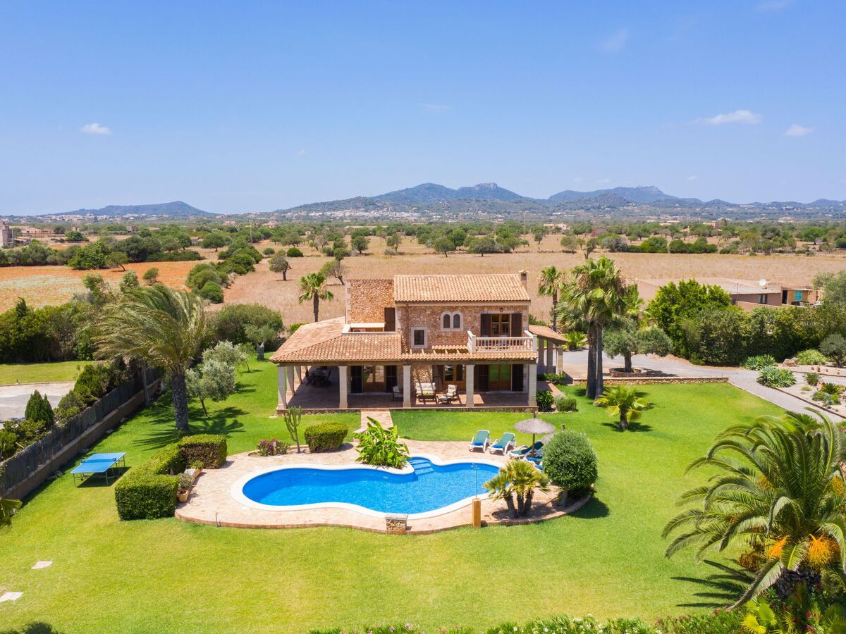 Finca Majorquine avec piscine et terrasse couverte - Photo 22