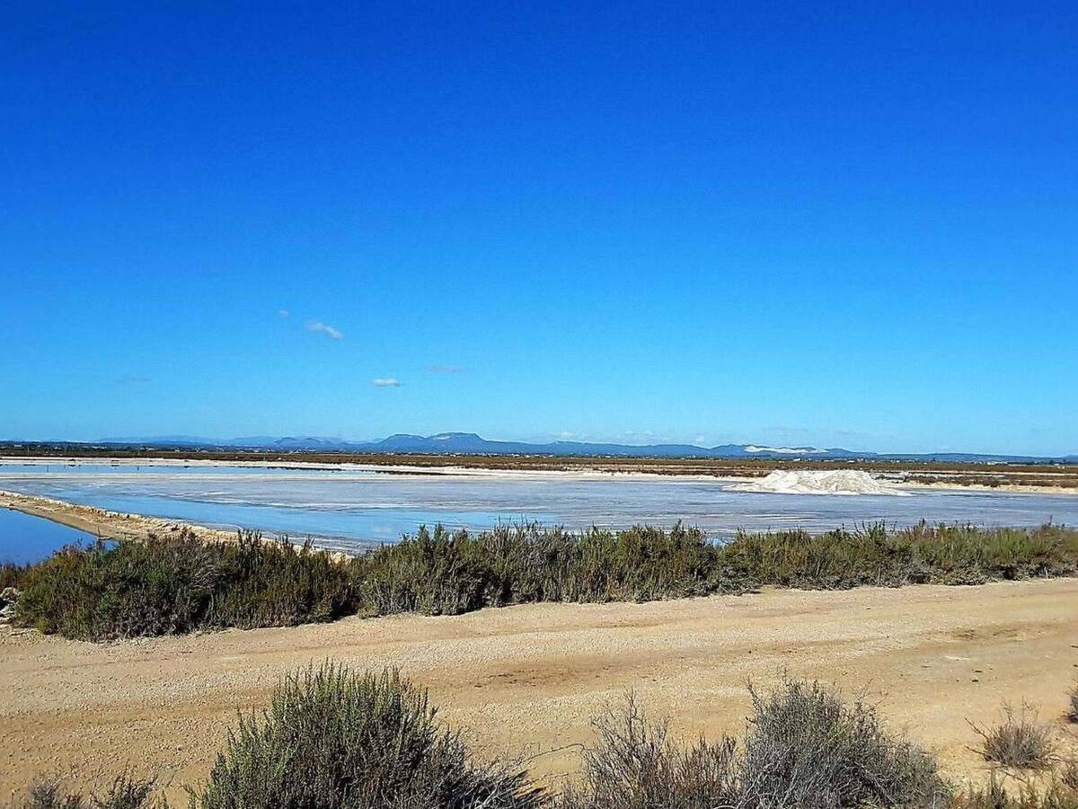 Casa Encantadora – Maison mallorquine à Ses Salines - Photo 12