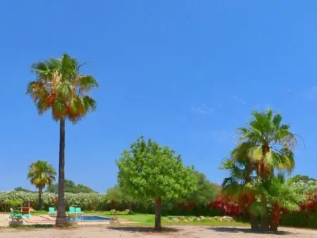 Poolfinca Can Acebal - Maison 8 personnes, Es Trenc : photo 35