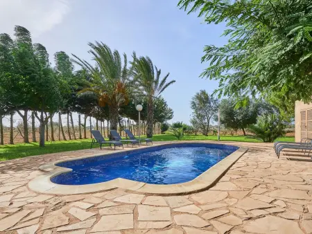 Maison rustique Ses Salines, pool 7x3m, 6 pers. : photo 4