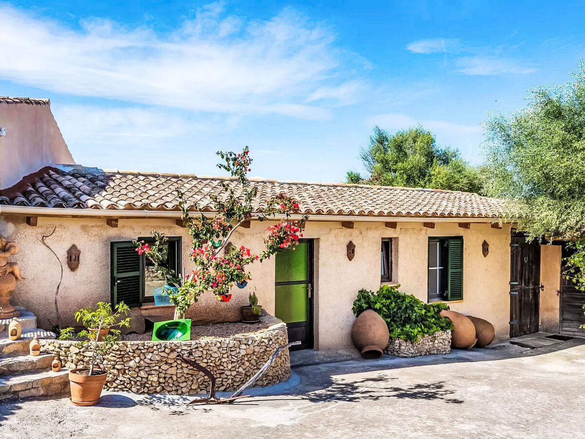 Appartement de finca Adults Only avec vue Tramuntana, Mallorca - Photo 1