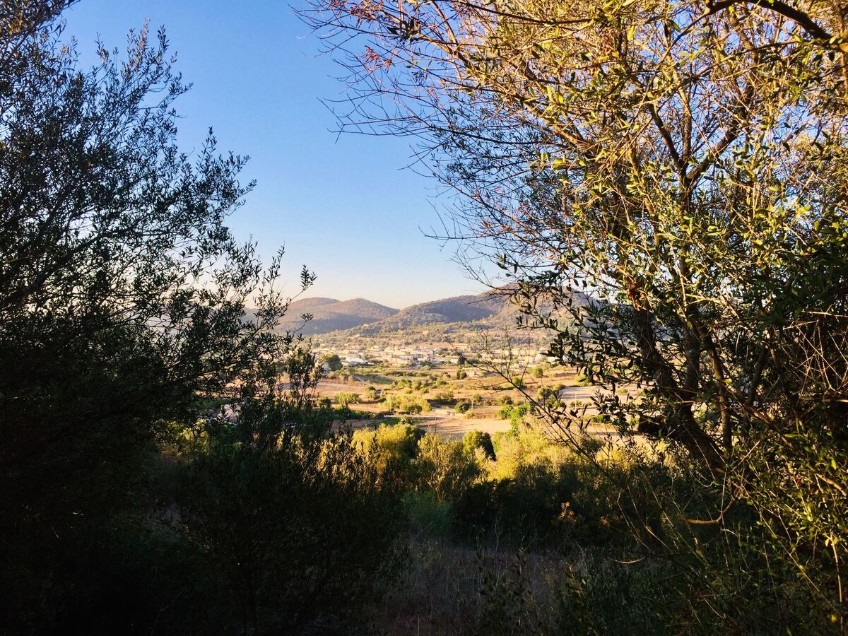 Appartement de finca Adults Only avec vue Tramuntana, Mallorca - Photo 14