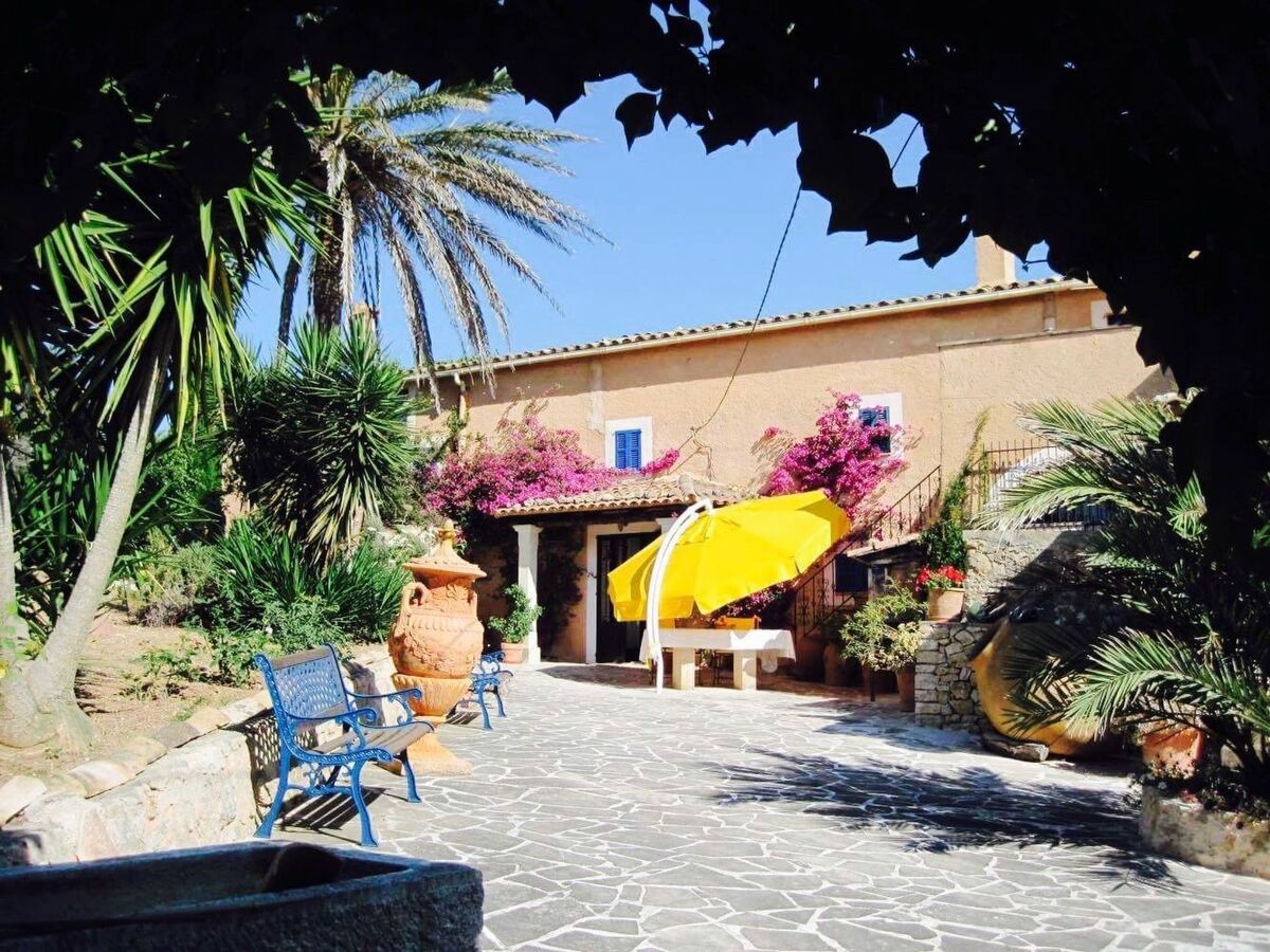 Appartement de finca Adults Only avec vue Tramuntana, Mallorca - Photo 18