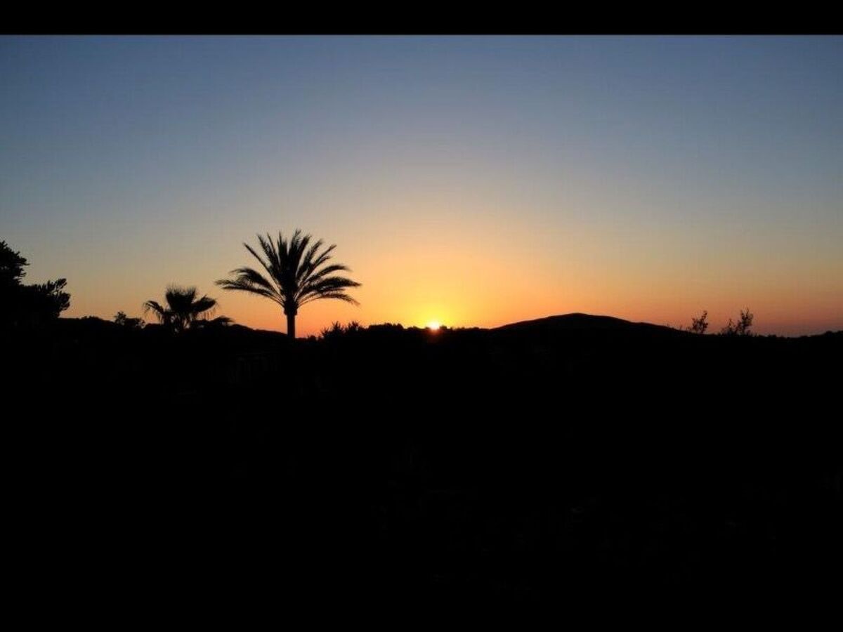 Appartement de finca Adults Only avec vue Tramuntana, Mallorca - Photo 19