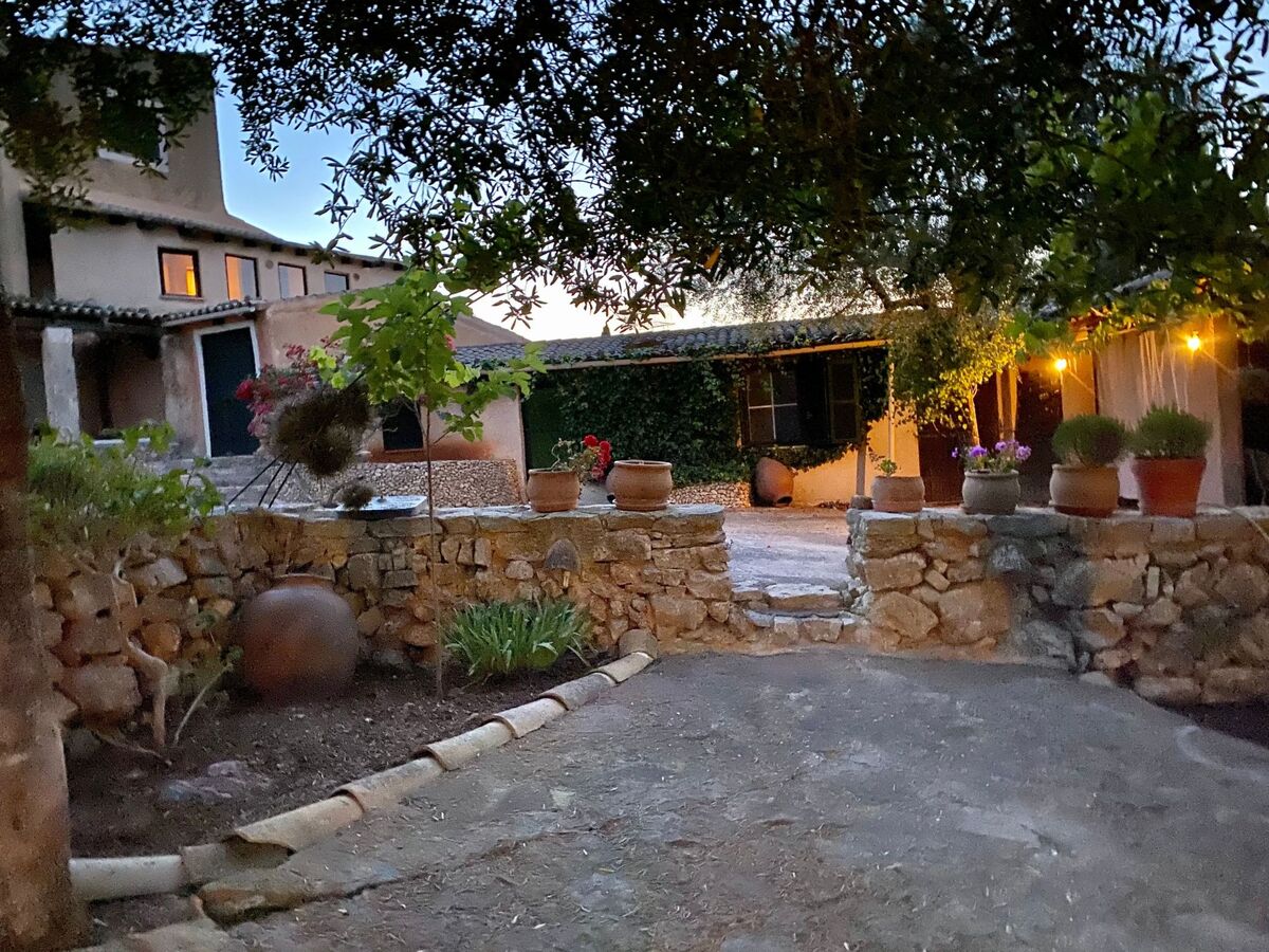 Appartement de finca Adults Only avec vue Tramuntana, Mallorca - Photo 20