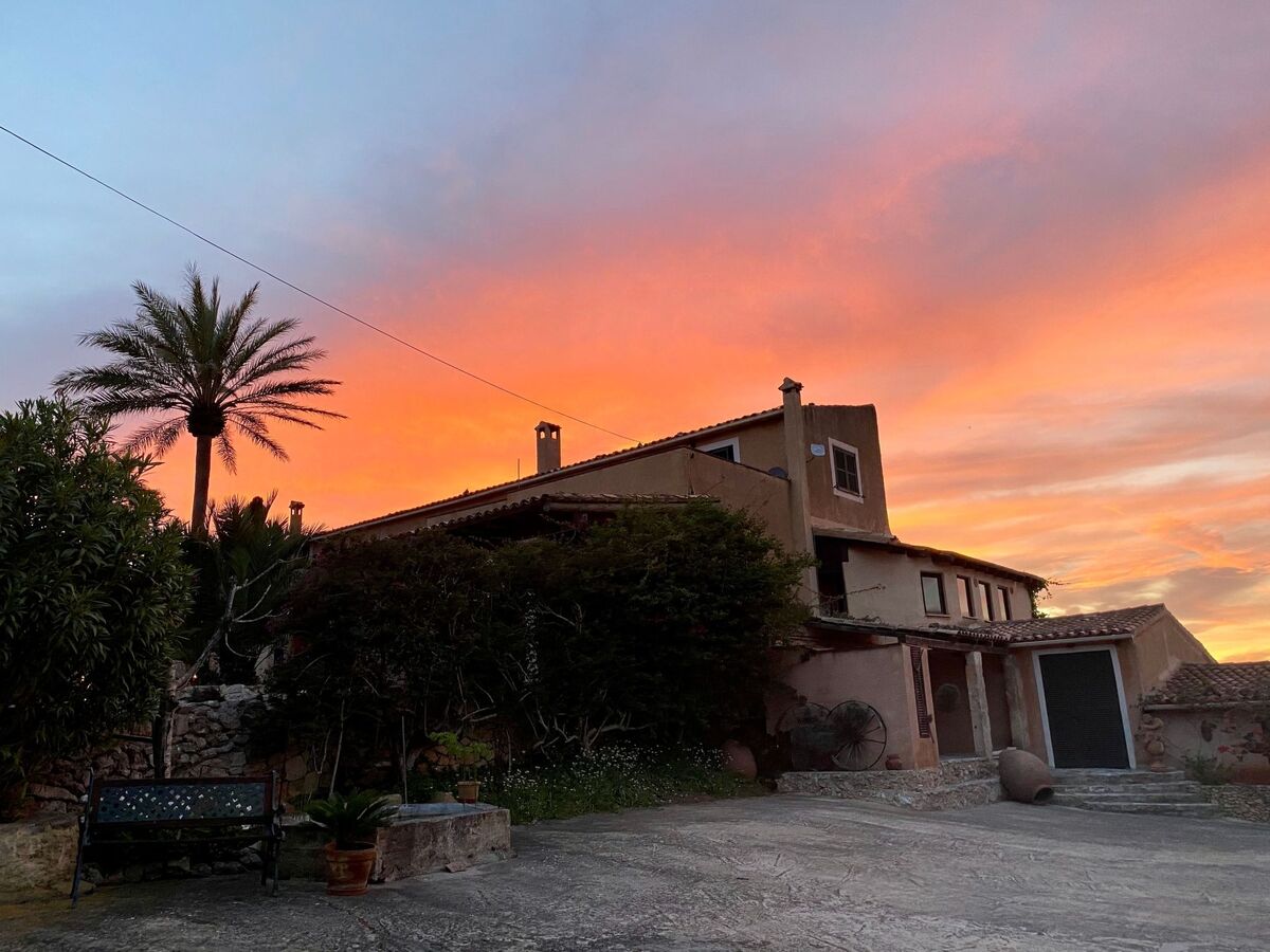 Appartement de finca Adults Only avec vue Tramuntana, Mallorca - Photo 21