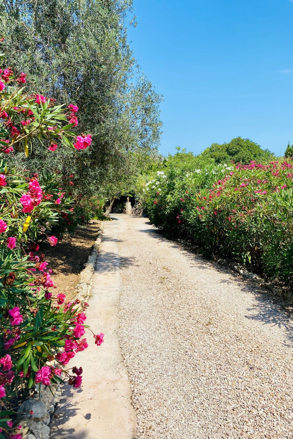 Appartement de finca Adults Only avec vue Tramuntana, Mallorca - Photo 22