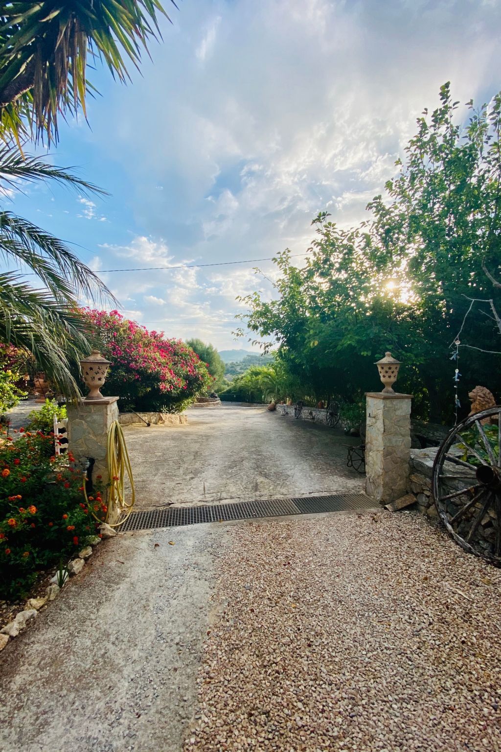 Appartement de finca Adults Only avec vue Tramuntana, Mallorca - Photo 23