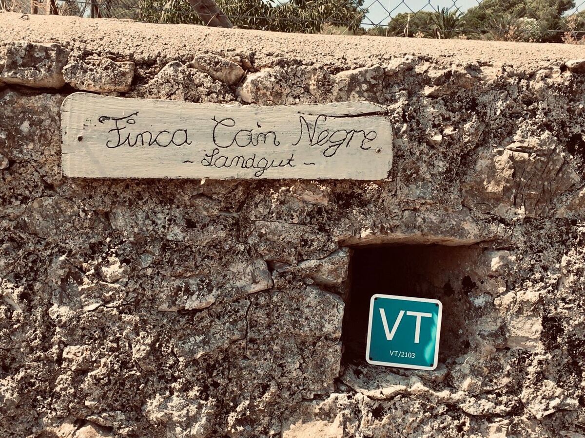 Appartement de finca Adults Only avec vue Tramuntana, Mallorca - Photo 24