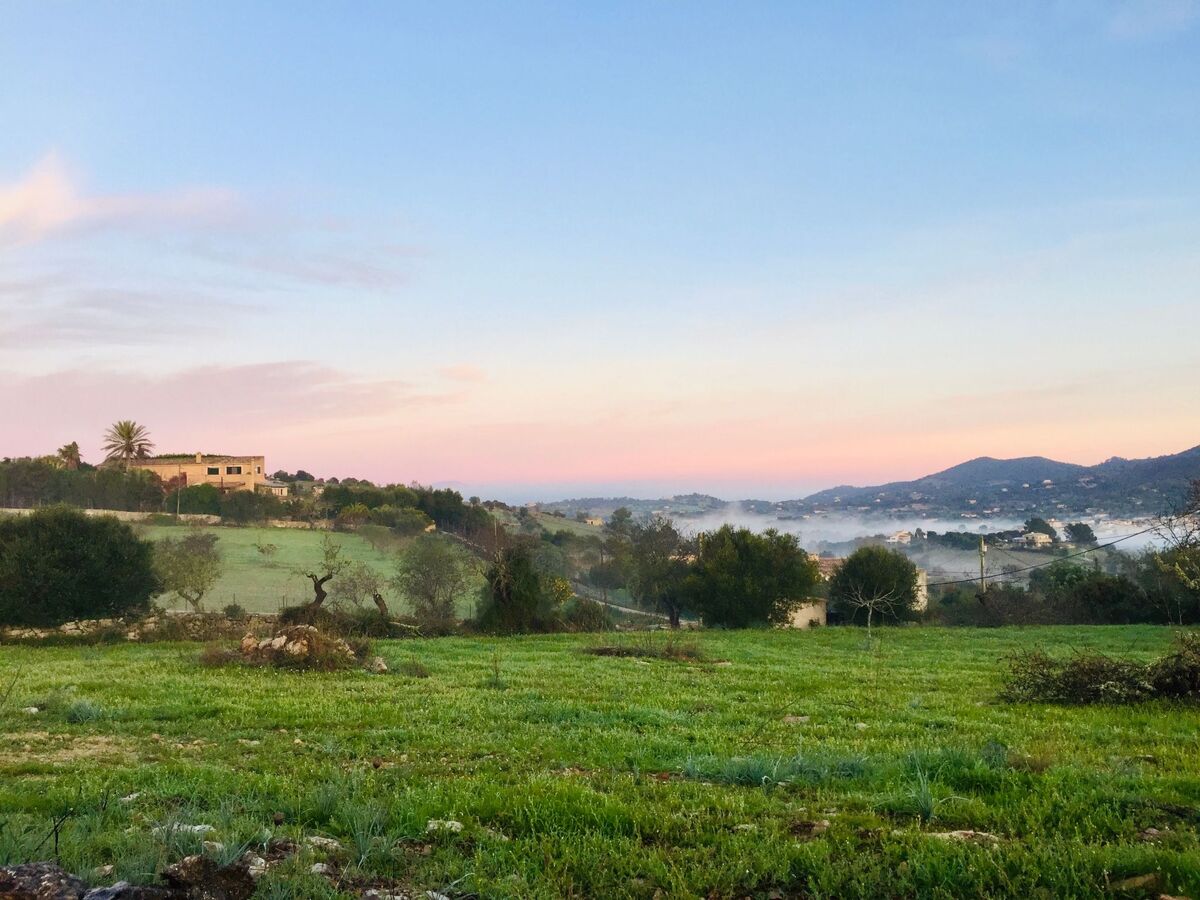 Appartement de finca Adults Only avec vue Tramuntana, Mallorca - Photo 25