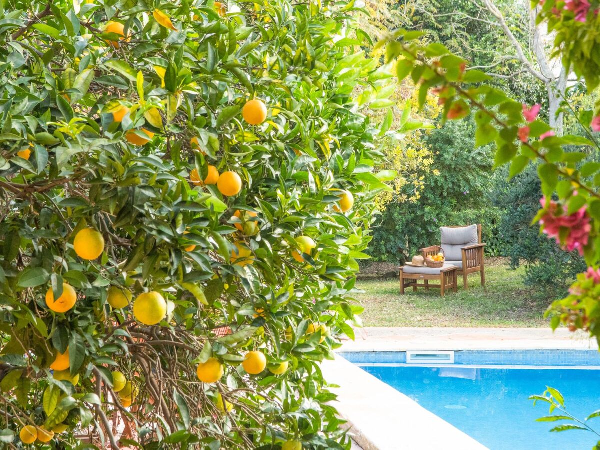 Maison Las Acacias – 6 chambres avec piscine à Petra - Photo 3