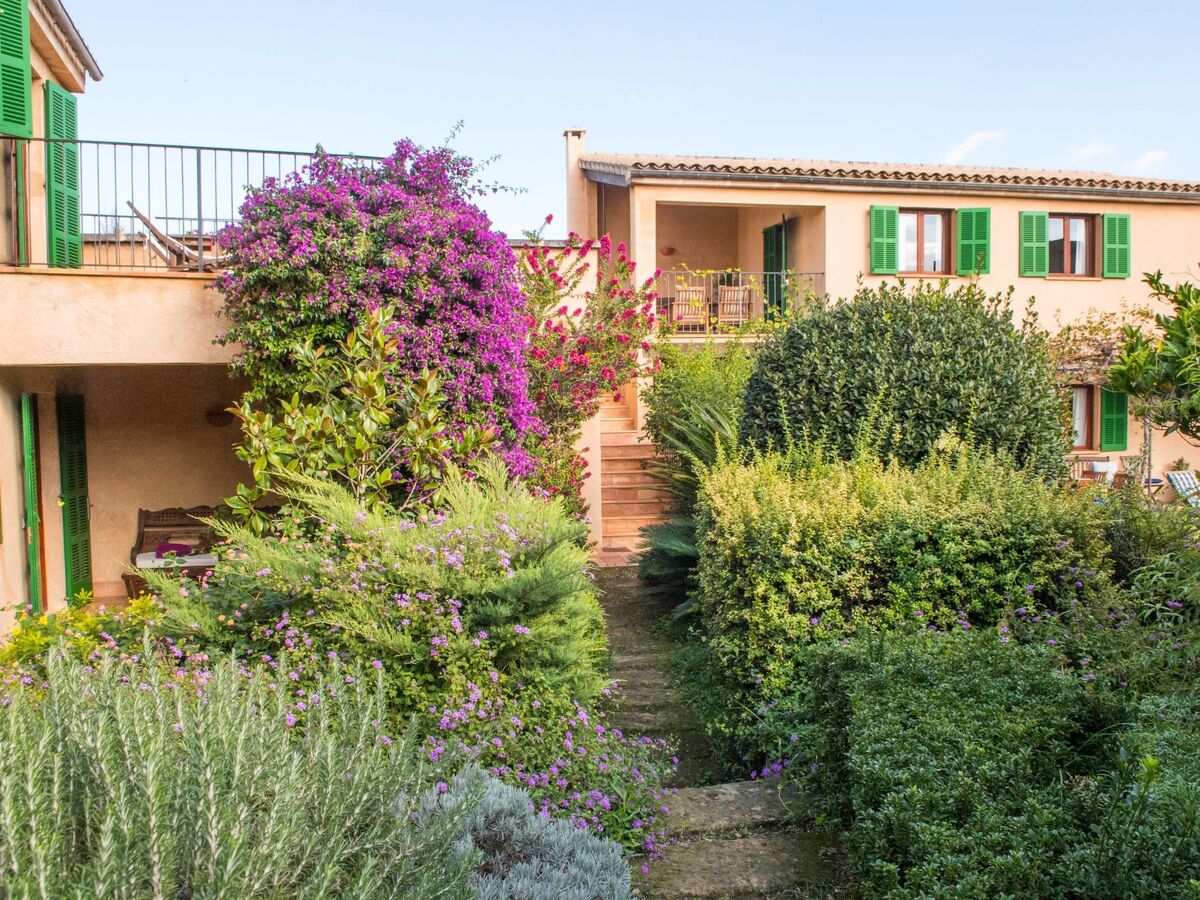 Maison Las Acacias – 6 chambres avec piscine à Petra - Photo 14