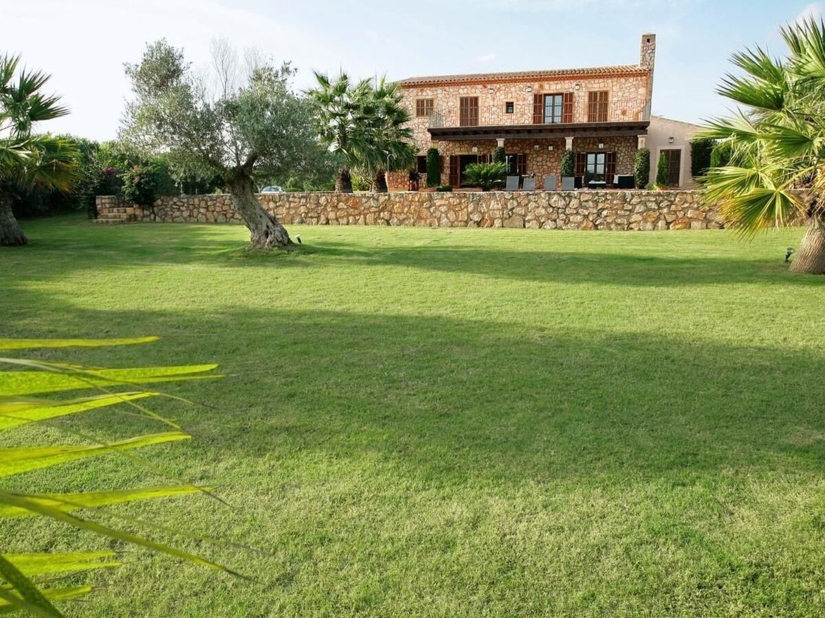 Finca Manacor – 4 chambres, piscine 14m, parc 2,1 ha - Photo 6