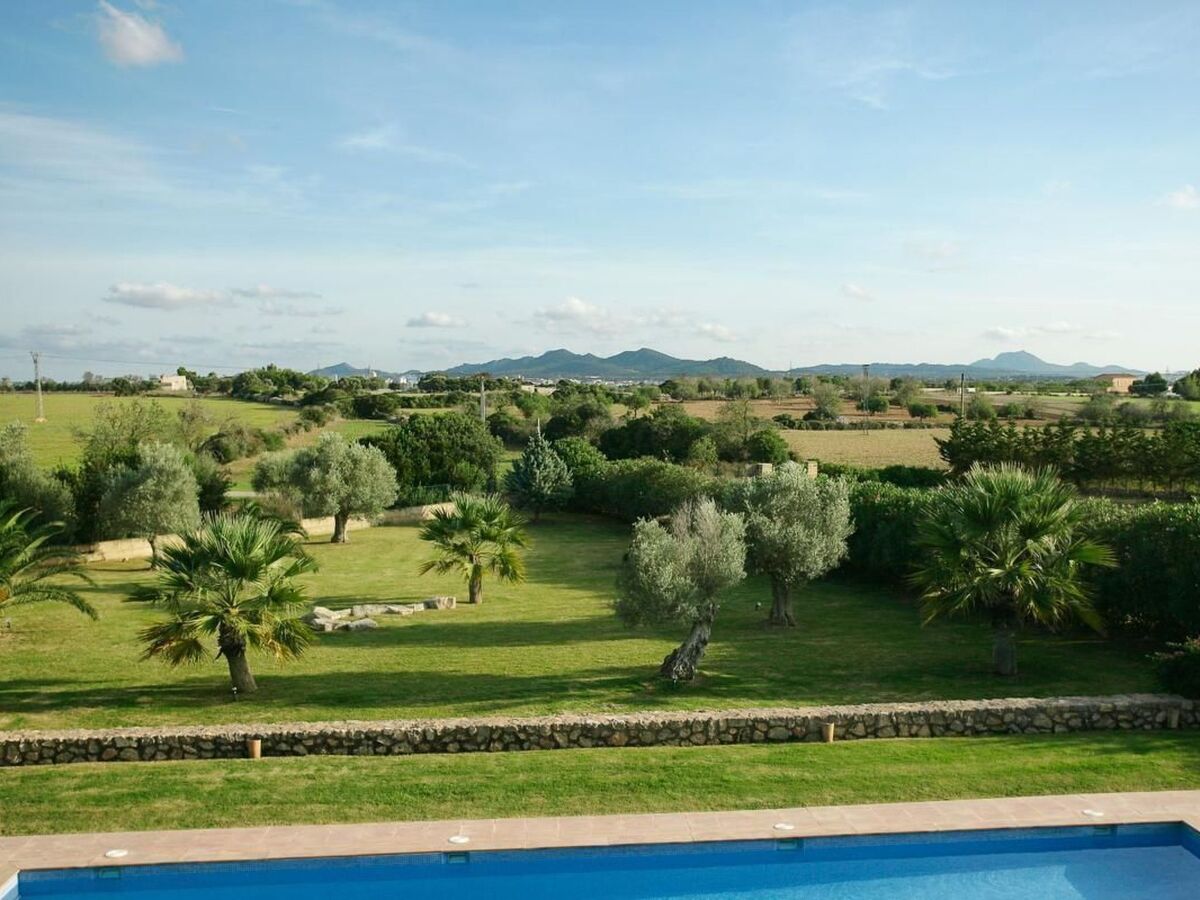 Finca Manacor – 4 chambres, piscine 14m, parc 2,1 ha - Photo 30
