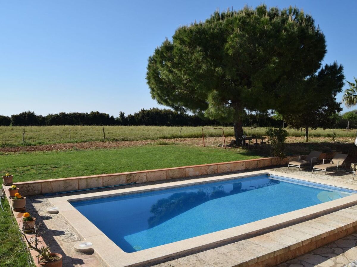 Finca Punta de Vistalegre – Ferme ancienne avec piscine à Manacor - Photo 12
