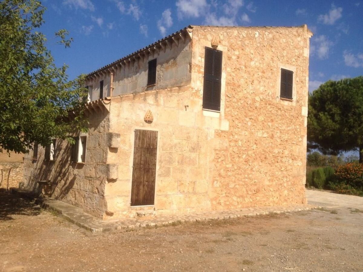 Finca Punta de Vistalegre – Ferme ancienne avec piscine à Manacor - Photo 52