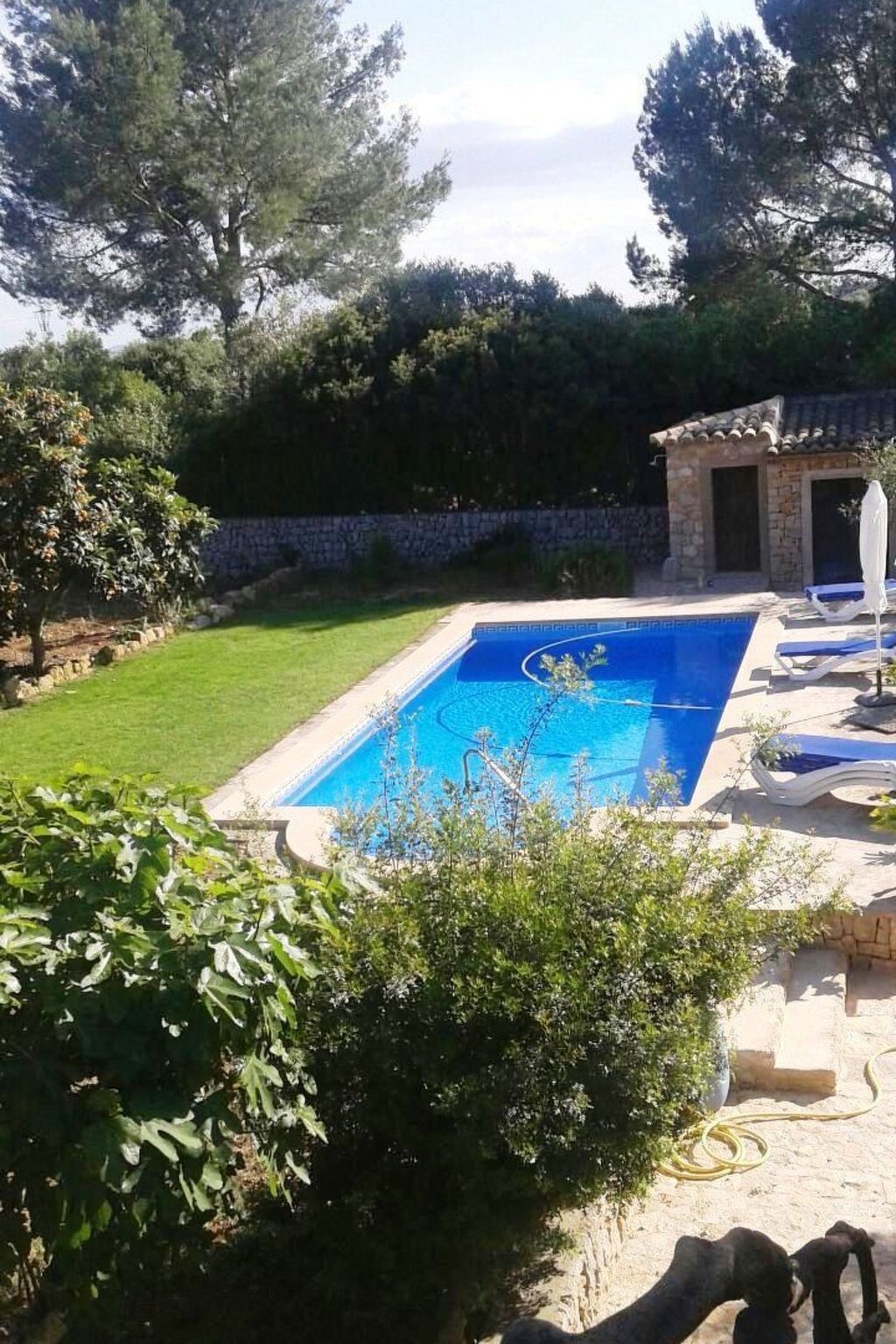 Finca Casa Alba – Maison 6 pers. piscine privée à Manacor - Photo 4
