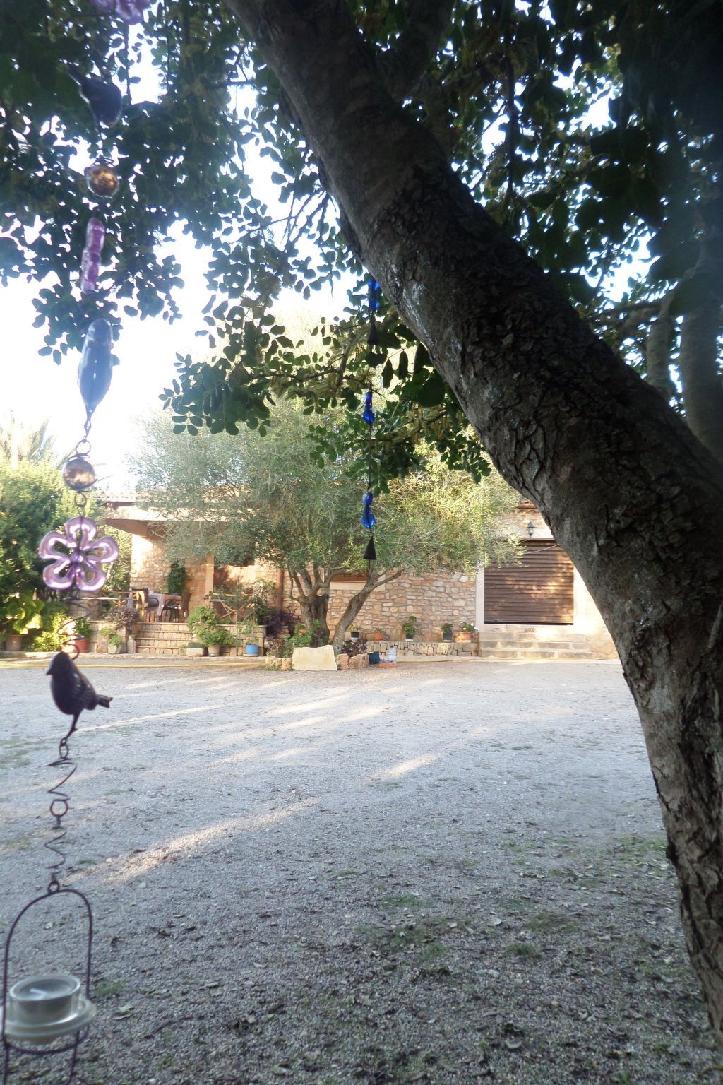 Finca Casa Alba – Maison 6 pers. piscine privée à Manacor - Photo 12