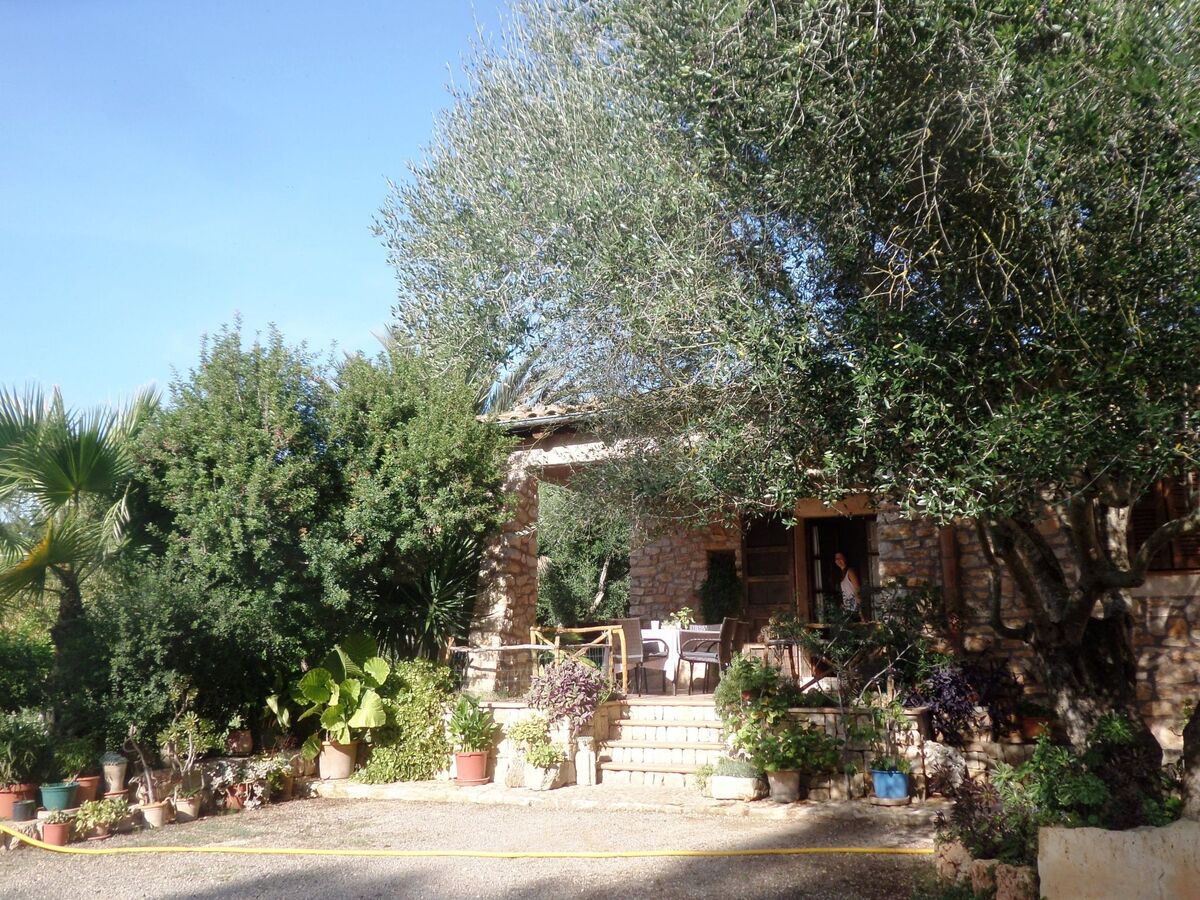 Finca Casa Alba – Maison 6 pers. piscine privée à Manacor - Photo 13