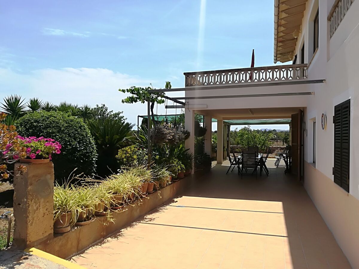 Sa Gruta Marines – Maison rurale 4 ch, piscine à Manacor - Photo 9