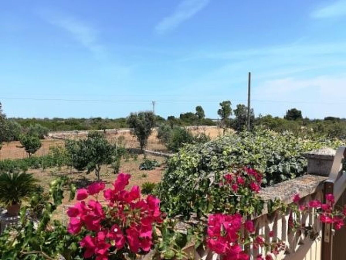 Sa Gruta Marines – Maison rurale 4 ch, piscine à Manacor - Photo 39