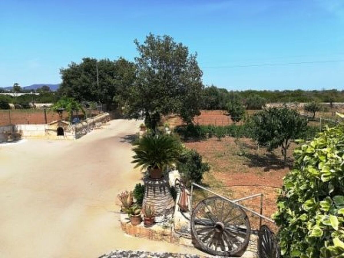 Sa Gruta Marines – Maison rurale 4 ch, piscine à Manacor - Photo 40