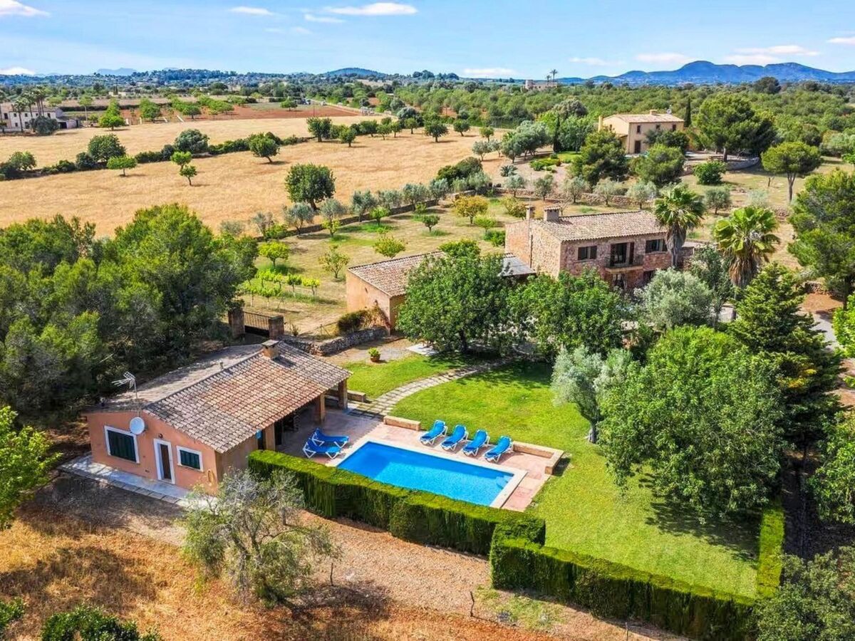 Finca majorquine 4 ch, piscine & jardin 8000 m² - Photo 1