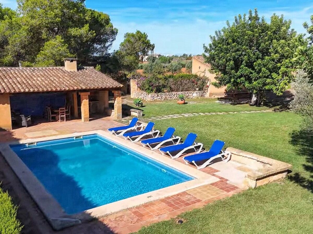 Finca majorquine 4 ch, piscine & jardin 8000 m² - Photo 2