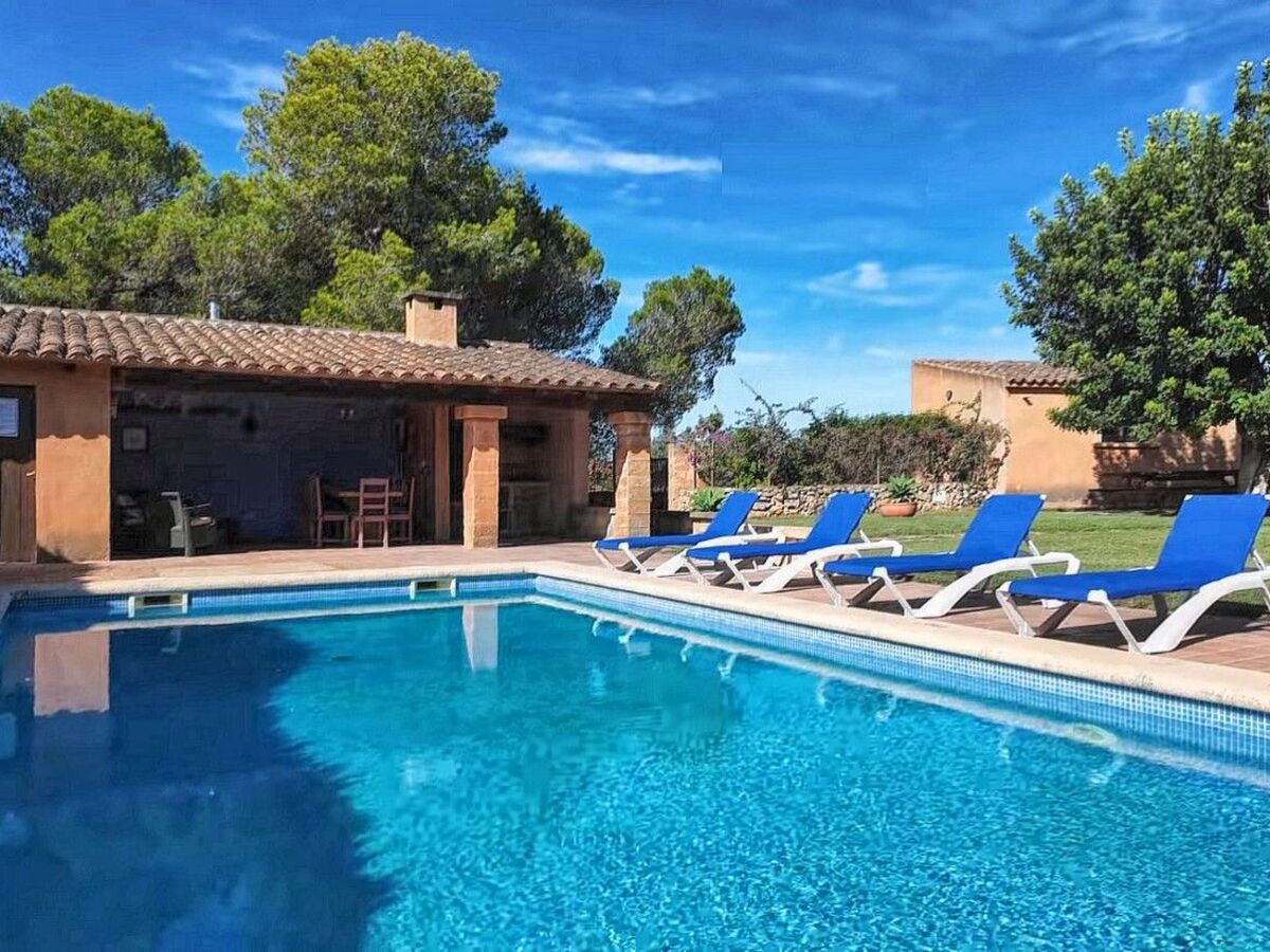 Finca majorquine 4 ch, piscine & jardin 8000 m² - Photo 4