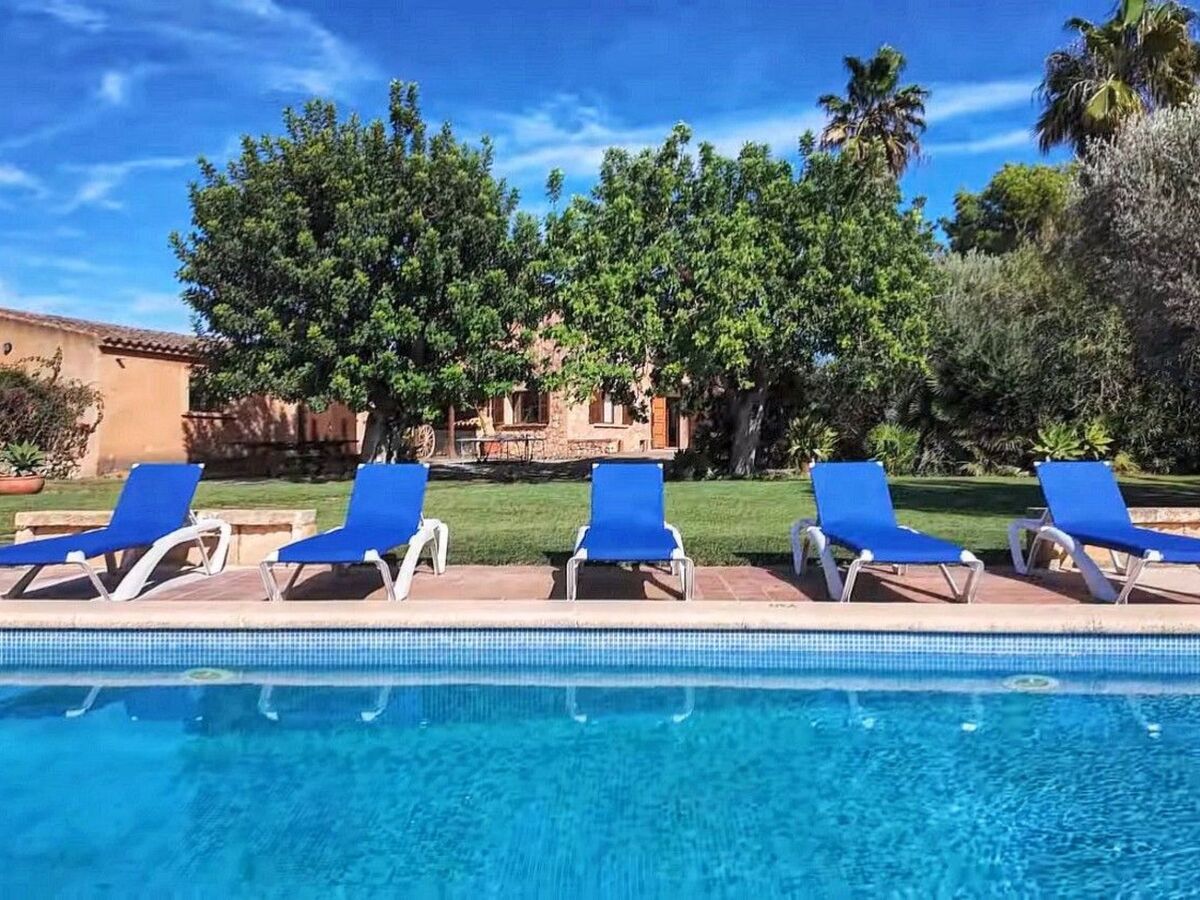 Finca majorquine 4 ch, piscine & jardin 8000 m² - Photo 5