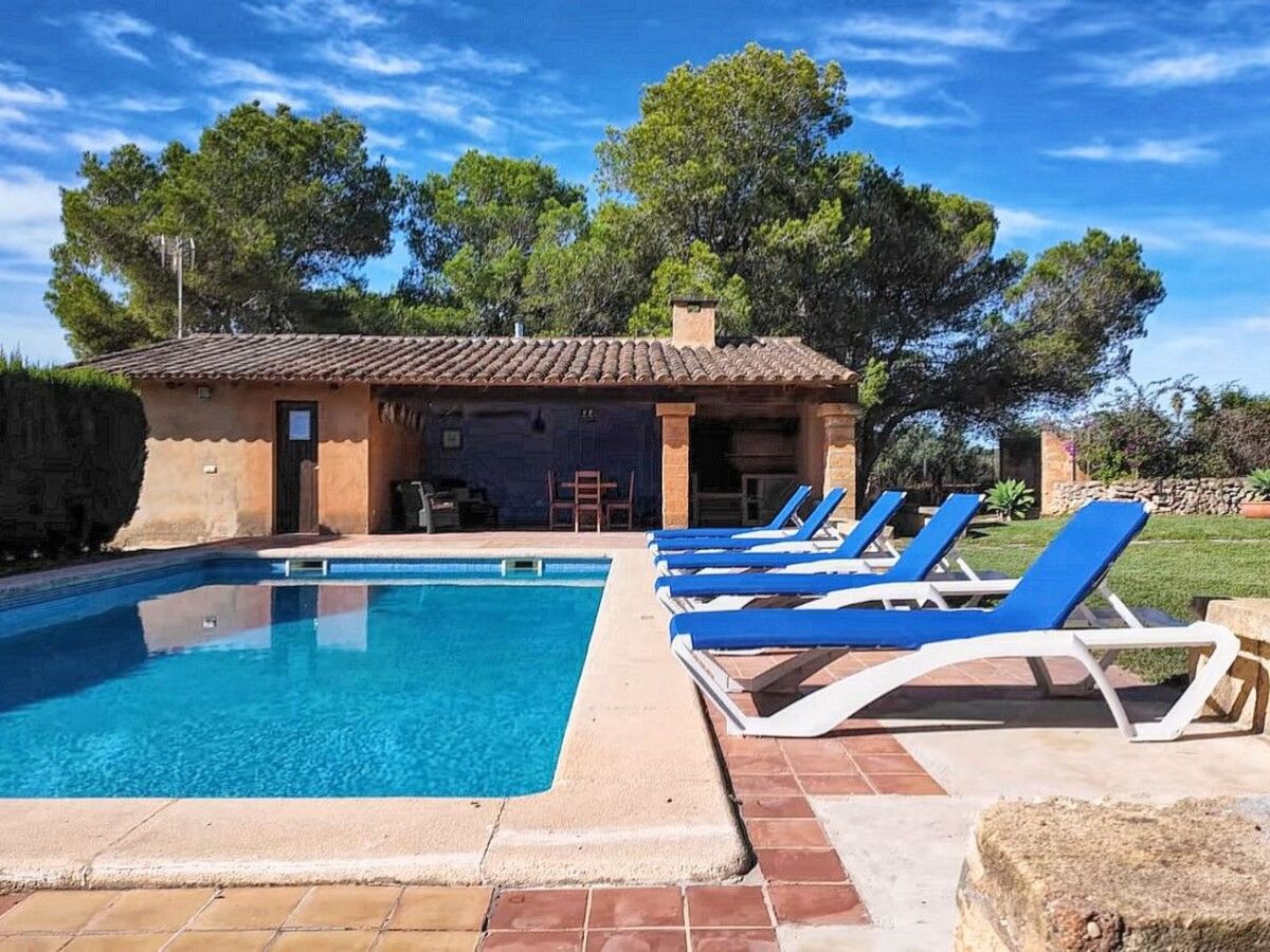 Finca majorquine 4 ch, piscine & jardin 8000 m² - Photo 6