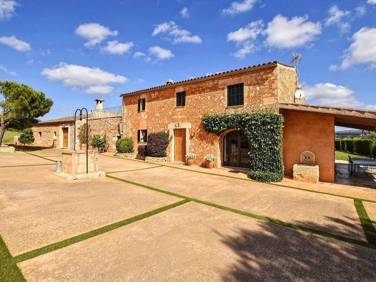 Finca moderne 12 pers., piscine 12x6m à Manacor - Photo 14