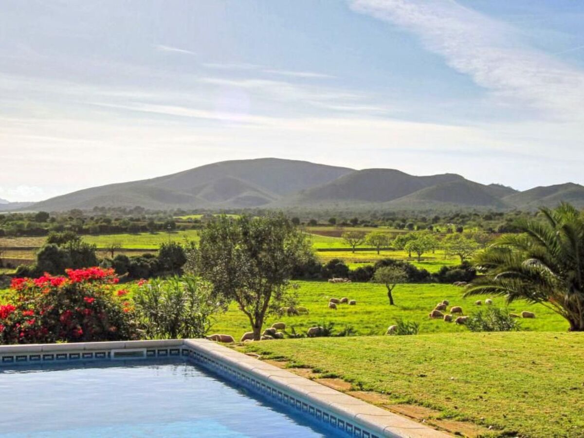 Finca avec piscine privée à Manacor, vue mer - Photo 6