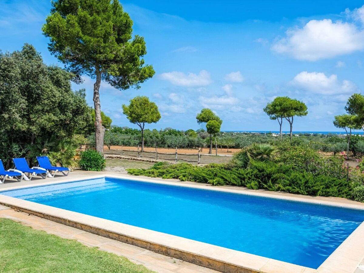 Finca avec piscine privée à Manacor, vue mer - Photo 8