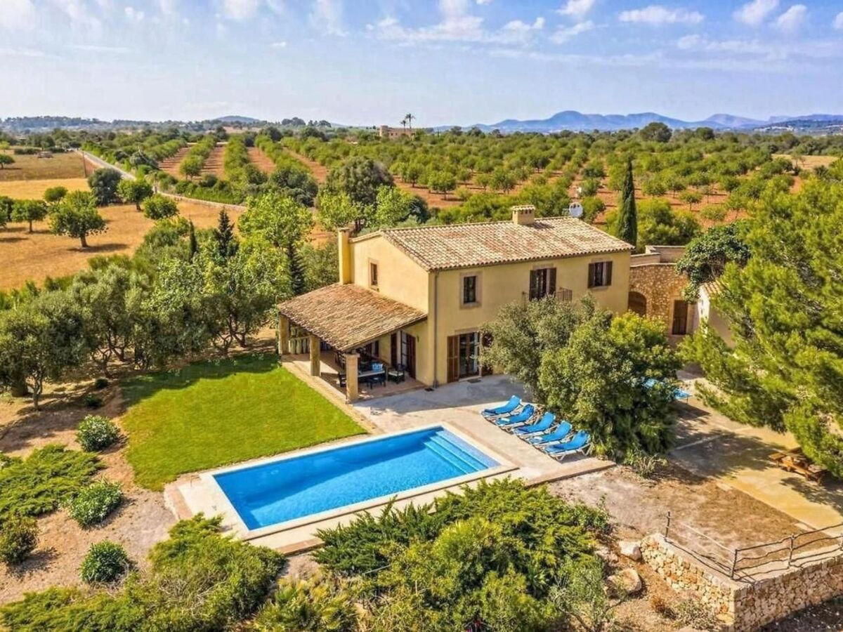 Finca avec piscine privée à Manacor, vue mer - Photo 12