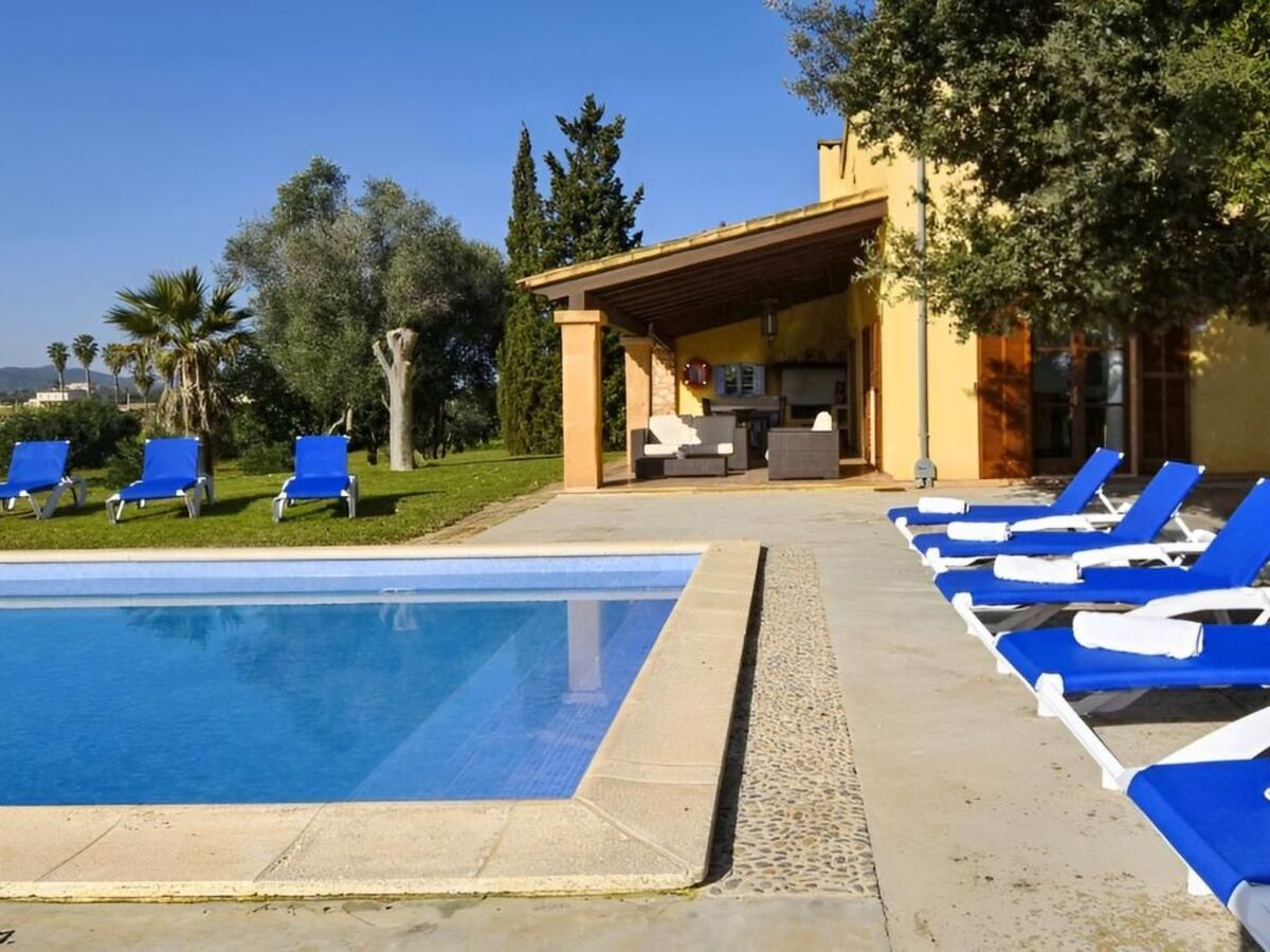 Finca avec piscine privée à Manacor, vue mer - Photo 13