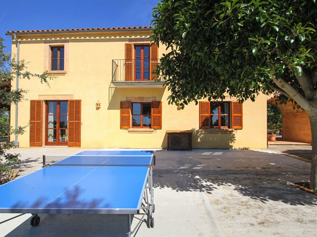 Finca avec piscine privée à Manacor, vue mer - Photo 15