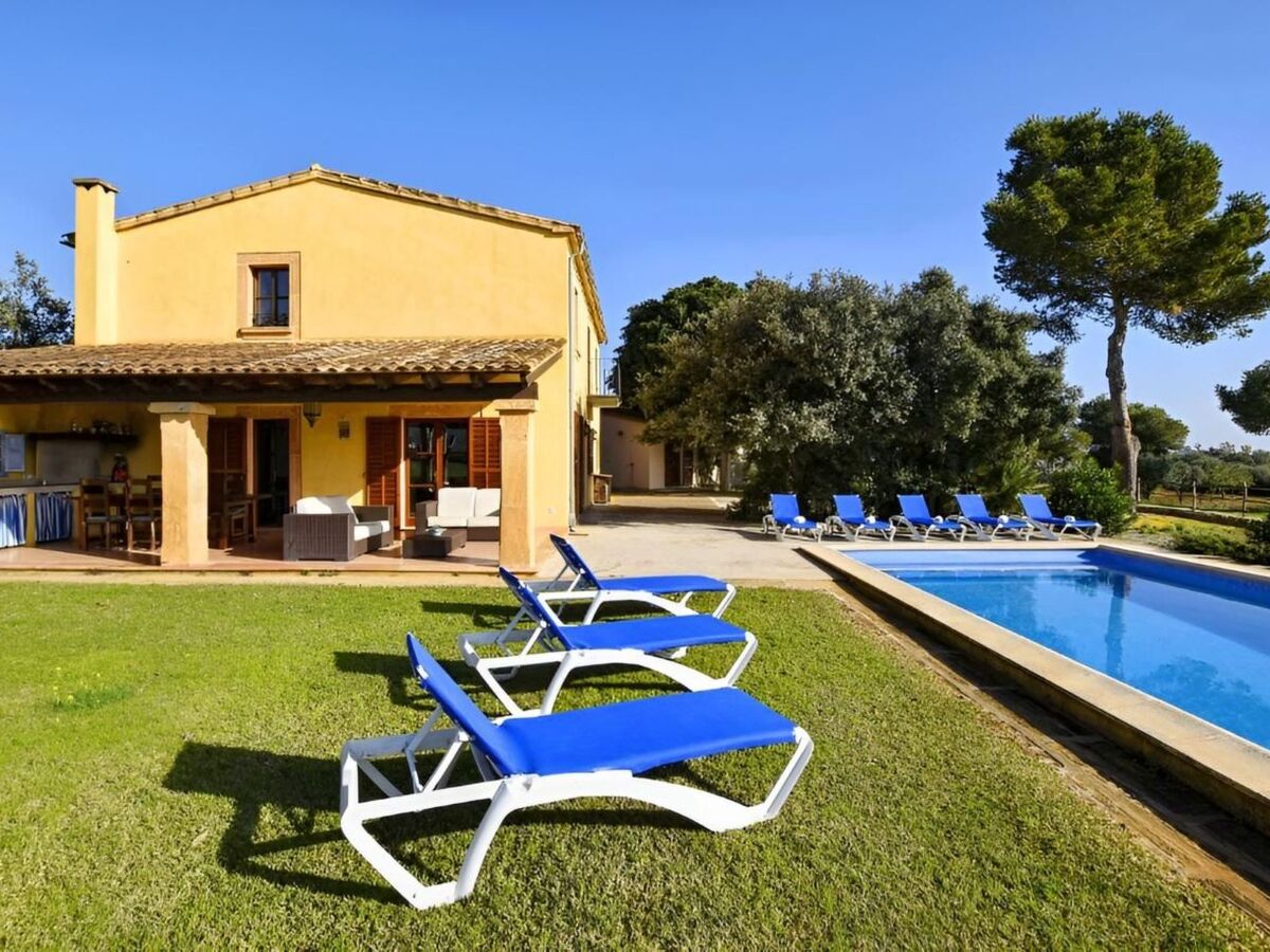 Finca avec piscine privée à Manacor, vue mer - Photo 16