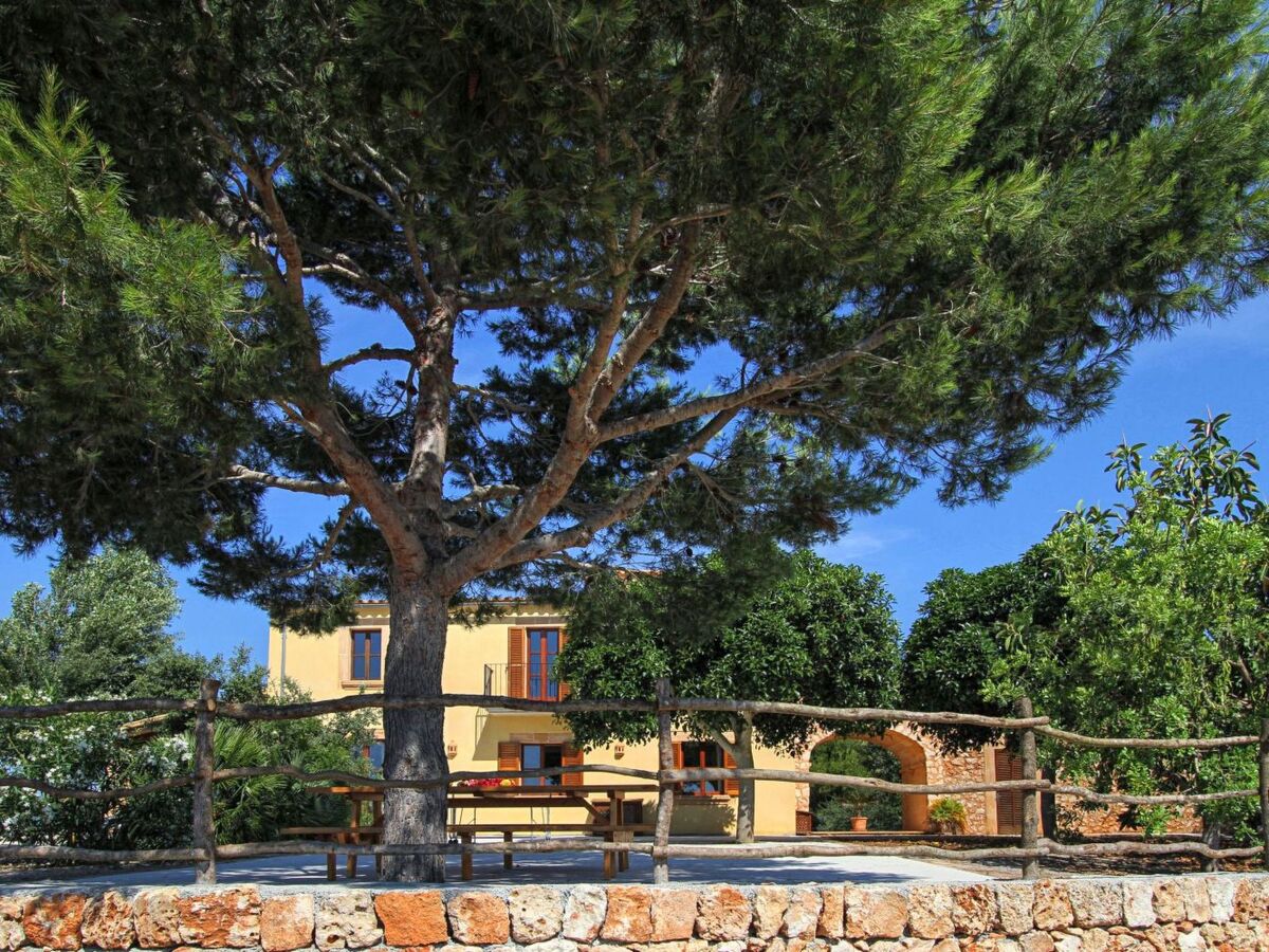 Finca avec piscine privée à Manacor, vue mer - Photo 27