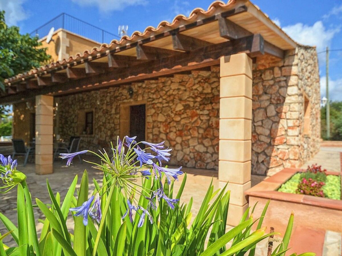 Finca avec piscine et court de tennis à Manacor - Photo 33