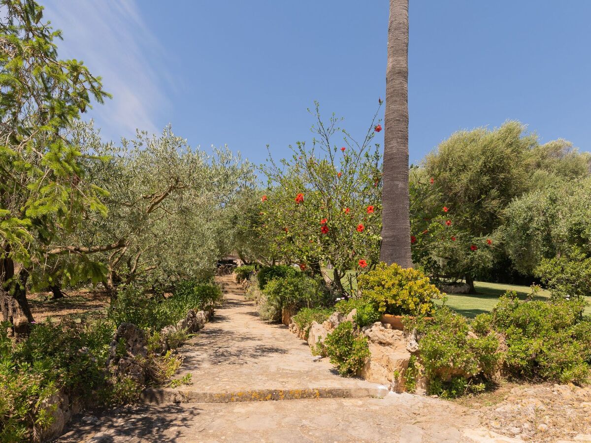 Sa Murtera des Pagos, maison majorquine 9 pers. à Manacor - Photo 34