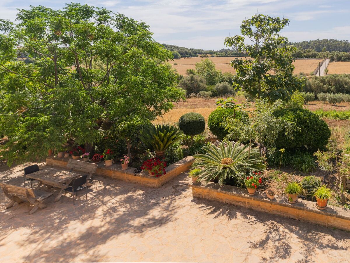 Sa Murtera des Pagos, maison majorquine 9 pers. à Manacor - Photo 66