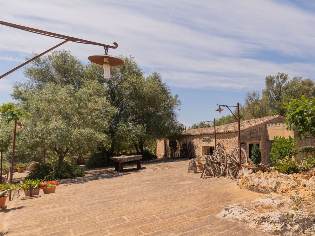 Sa Murtera des Pagos, maison majorquine 9 pers. à Manacor - Photo 70