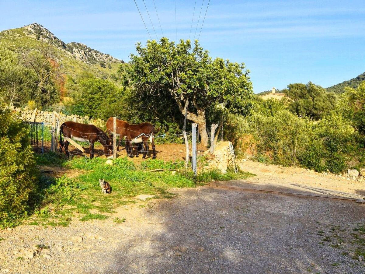 Finca majorquine avec piscine et vue mer à Sant Llorenç - Photo 33