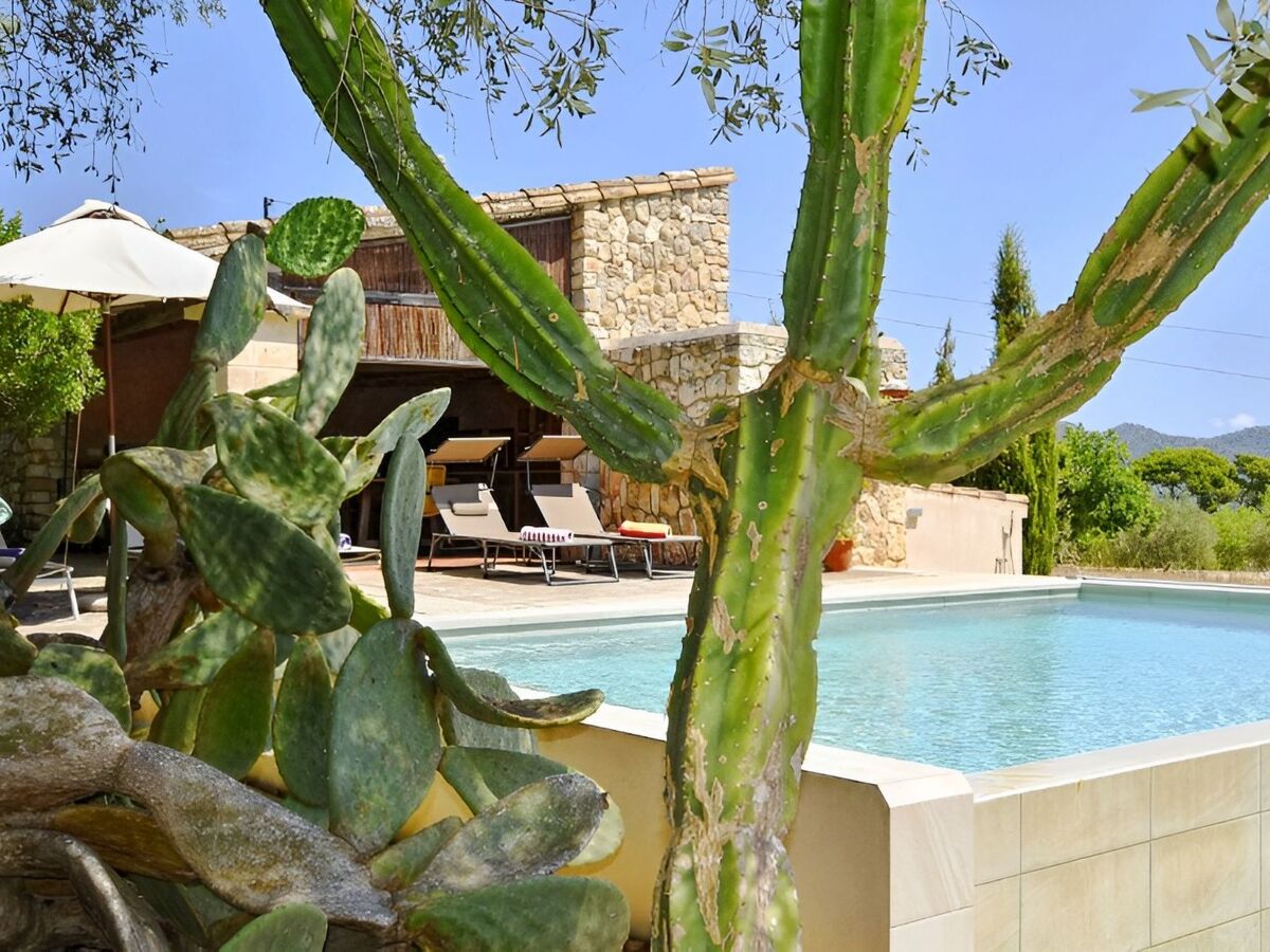 Finca avec infinity-pool à Sant Llorenç des Cardassar - Photo 4