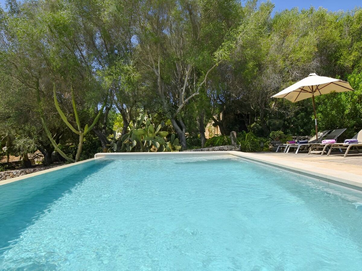 Finca avec infinity-pool à Sant Llorenç des Cardassar - Photo 12