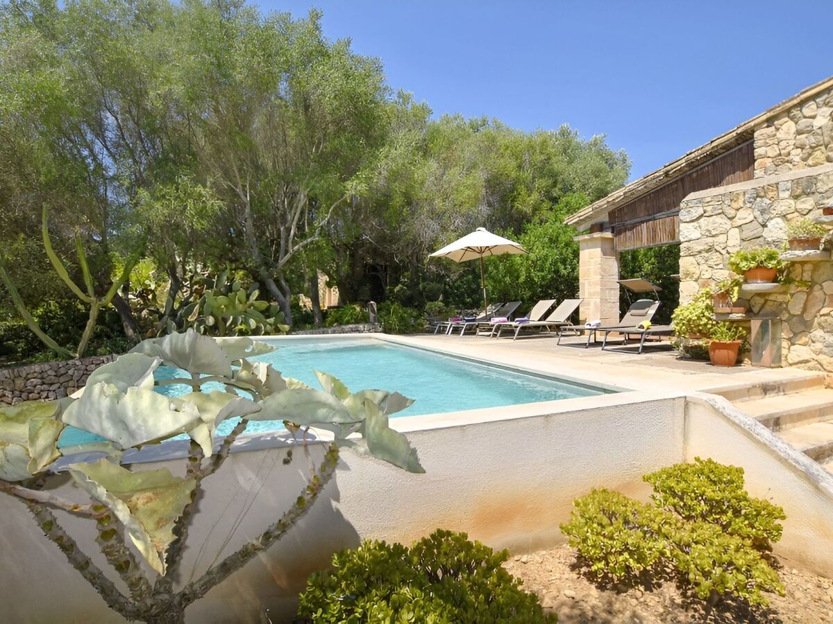 Finca avec infinity-pool à Sant Llorenç des Cardassar - Photo 13