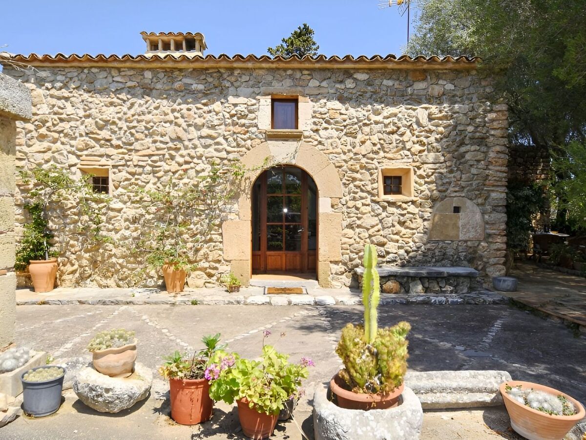 Finca avec infinity-pool à Sant Llorenç des Cardassar - Photo 18
