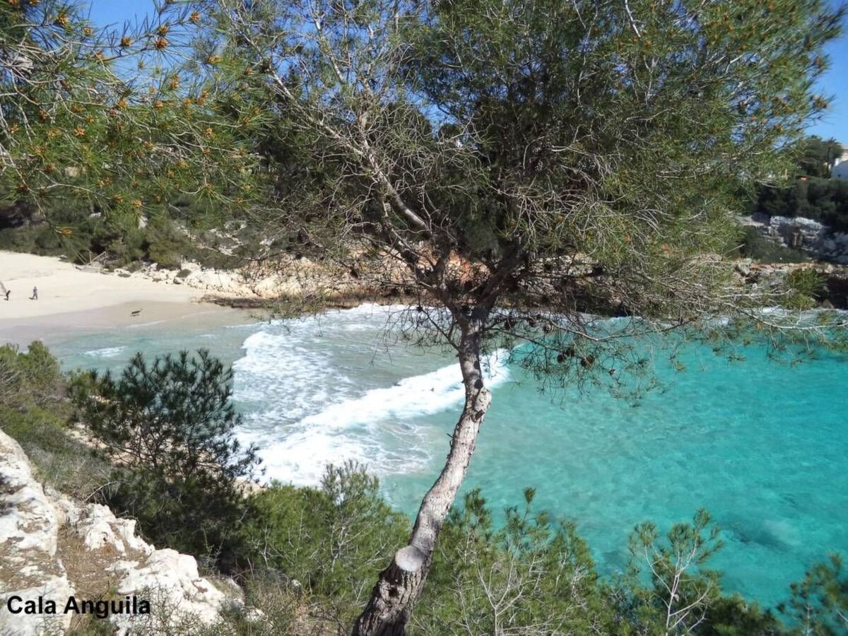 Villa Cajmin avec piscine privée à Cala Romántica - Photo 33